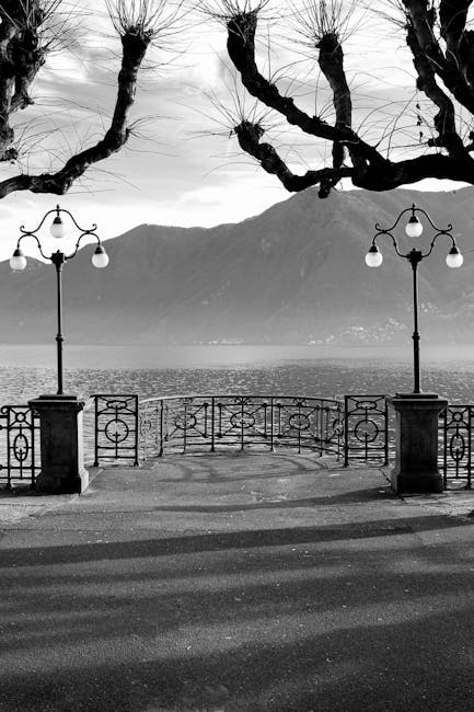 Lugano lakeside promenade palm trees
