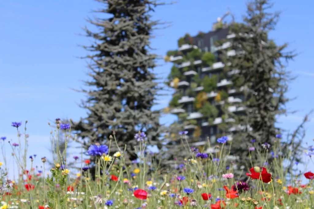Kleurrijke wilde bloemen op voorgrond, Bosco Verticale vaag zichtbaar in Milaan